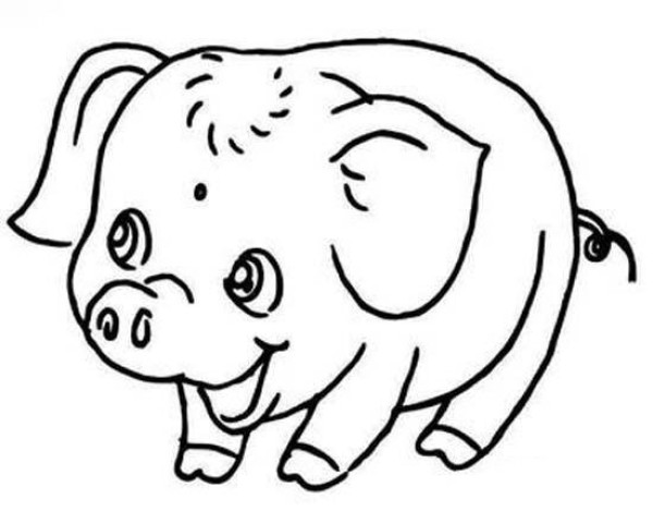 Cute Year of the Pig Mascot Simple Drawing Picture