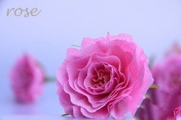 Handmade gifts for Girls’ Day: super beautiful handmade roses