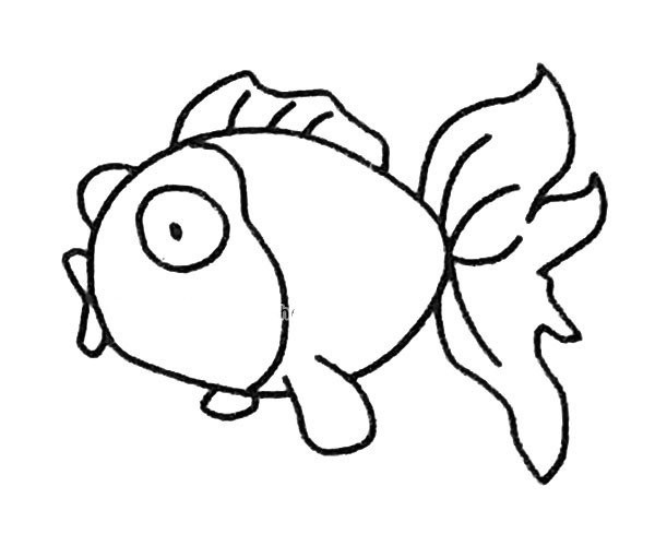 Draw a goldfish in four simple steps