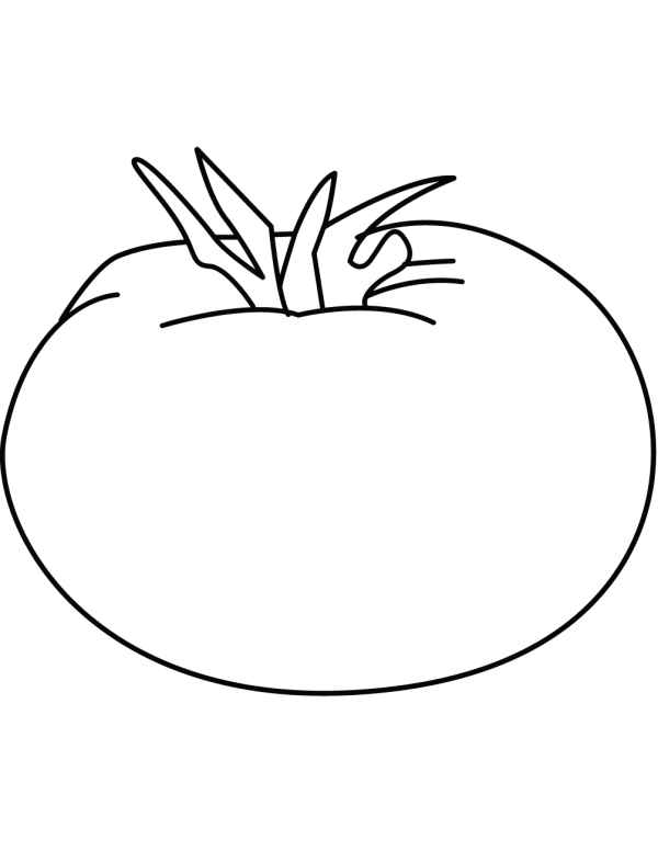 Simple tomato sketch