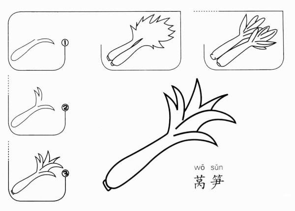 How to draw lettuce