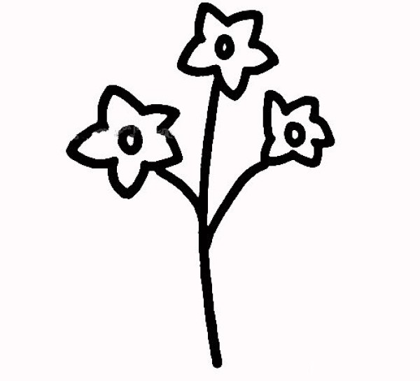 Simple drawing method of daffodils