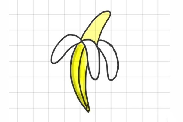 A set of fruit simple drawing pictures