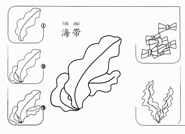 How to draw kelp