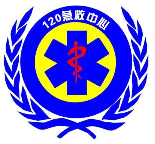 Emergency vehicle logo simple drawing picture