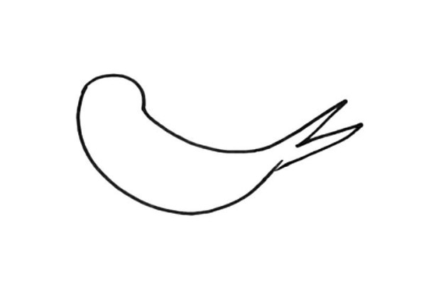 Learn to draw swallows