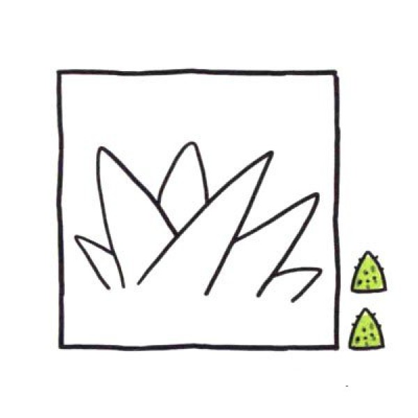 Draw cute simple drawings in four steps. Radiation protection expert Aloe Vera