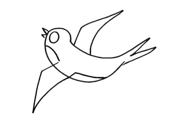 Learn to draw swallows