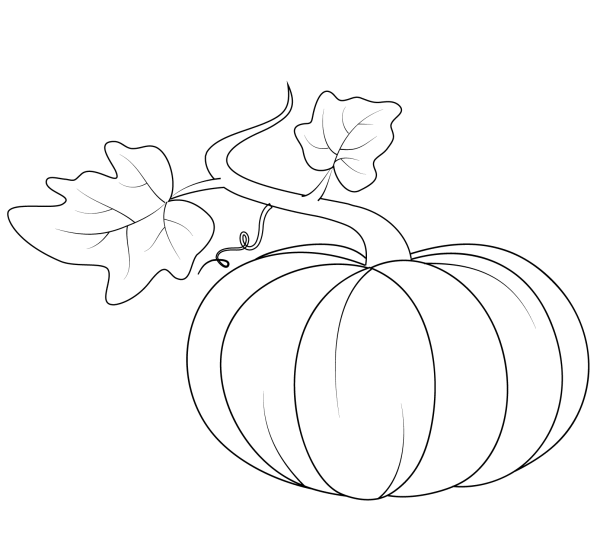 pumpkin with leaves