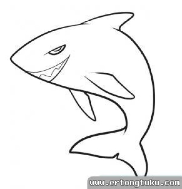 How to draw a shark simple drawing steps