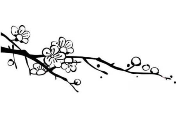 Plum tree branches simple drawing picture