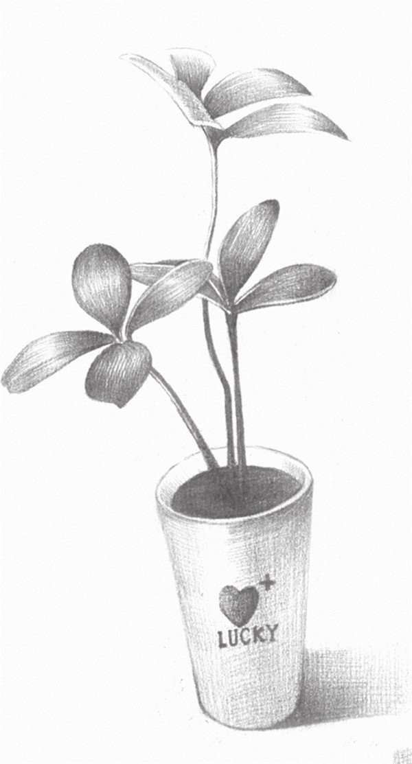 Sketch drawing techniques of four-leaf clover