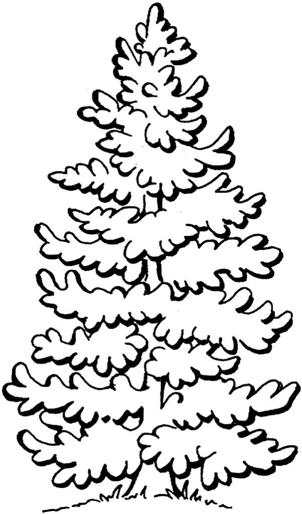 Fir tree simple strokes