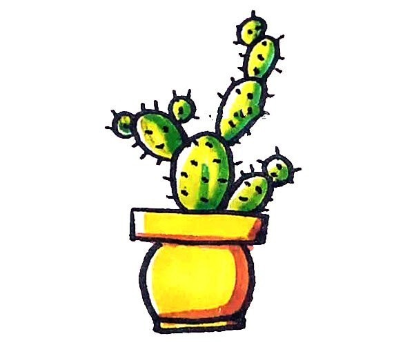 Learn to draw a simple cactus