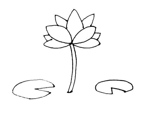 Children learn to draw lotus easily