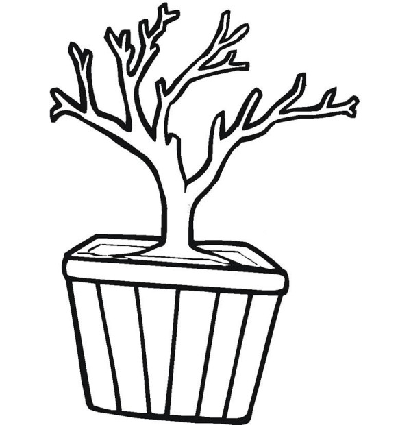 How to draw potted plants for children