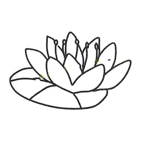 6 beautiful lotus simple drawing pictures