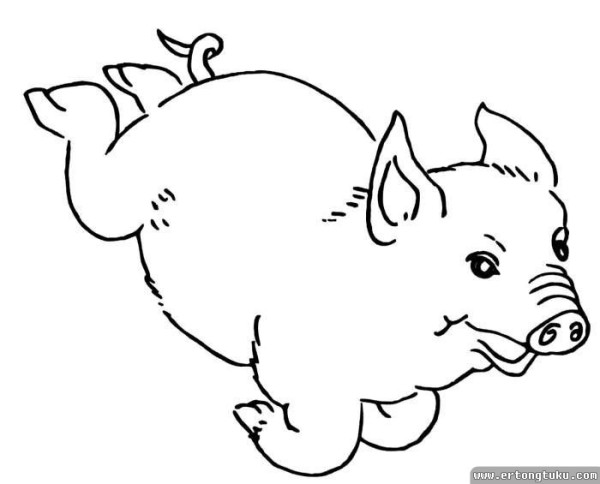 Happy pig cute simple drawing picture