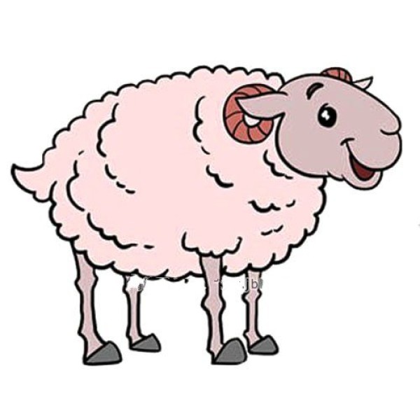 Learn to draw a sheep step by step