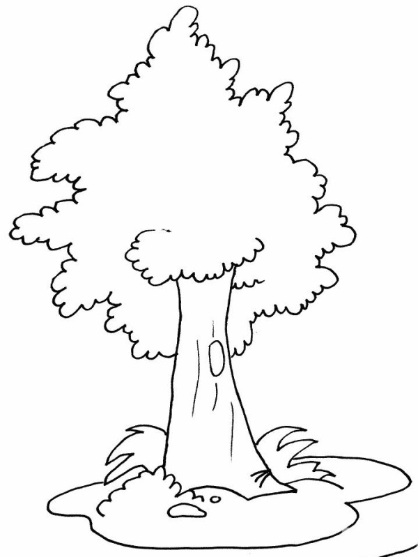 How to draw a big tree. Simple drawing of a dense tree.