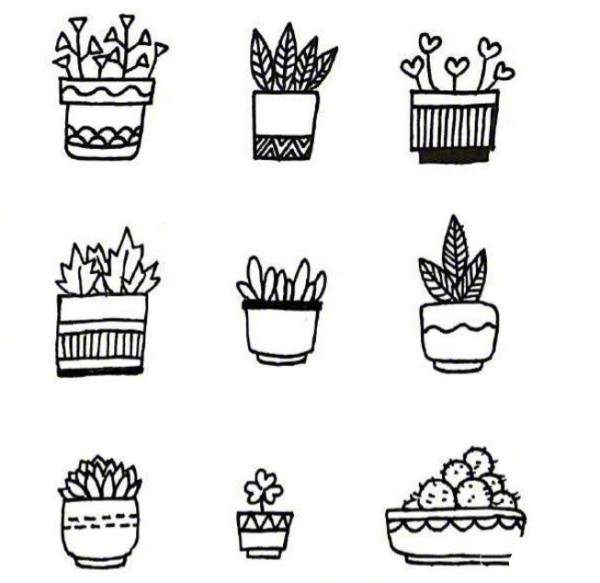 A complete collection of simple black and white sketches of potted plants