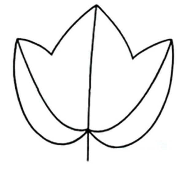 Simple drawing of leaves