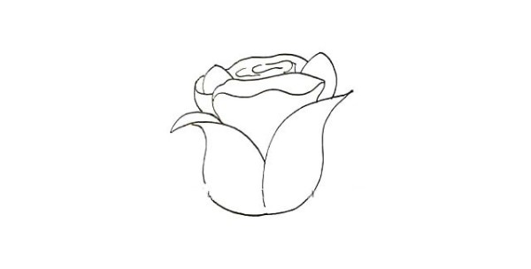 Detailed steps for drawing simple strokes of roses