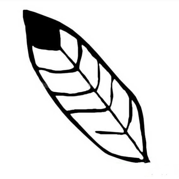 Simple leaf drawing