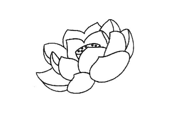 Fresh lotus simple strokes drawing tutorial