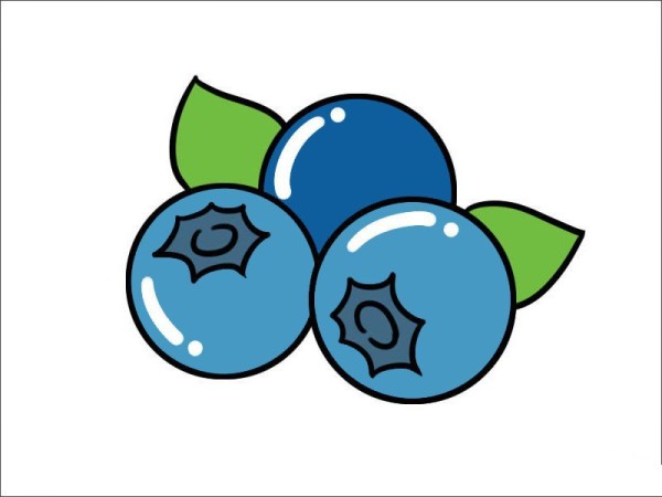 Blueberry simple drawing pictures