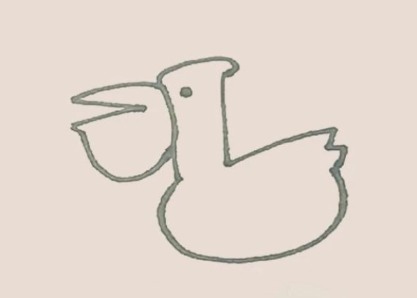 How to Draw a Pelican Simple Drawing