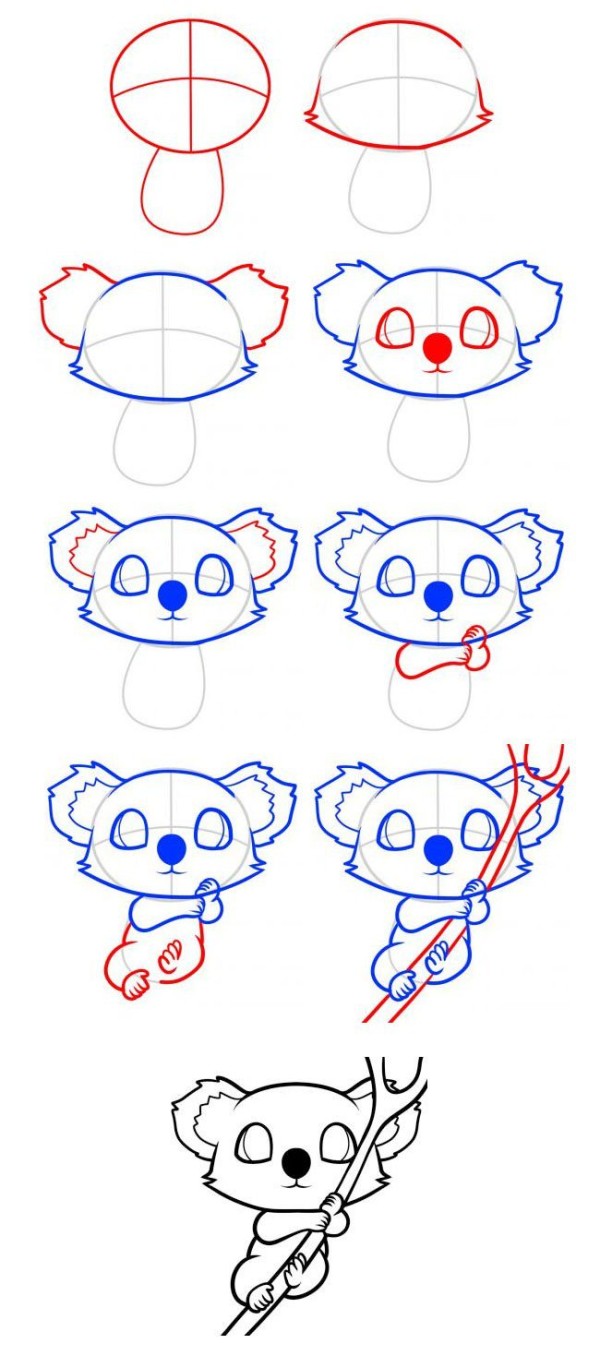 Step by step drawing of cute koala