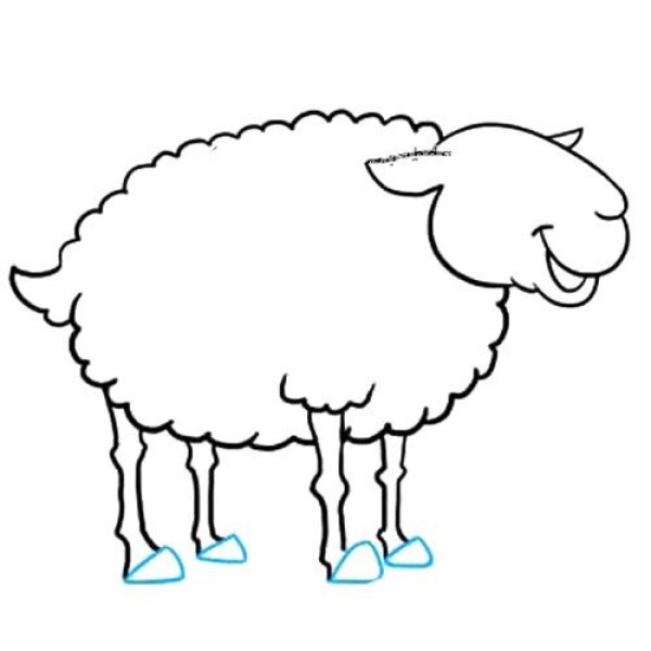 Learn to draw a sheep step by step