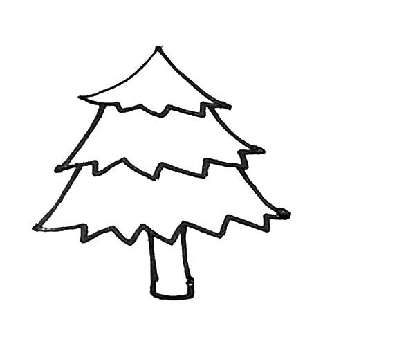 Learn to draw pine trees