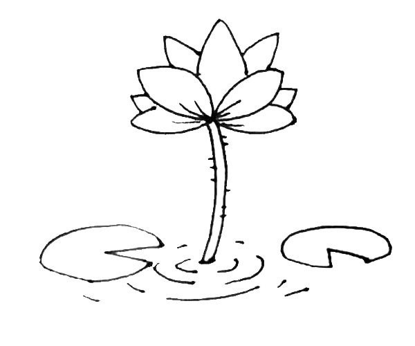 Children learn to draw lotus easily