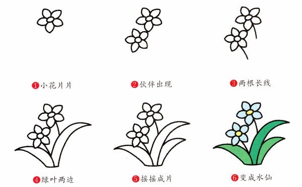 Simple step-by-step tutorial on how to draw elegant daffodils