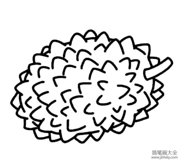 Delicious and attractive durian simple drawing pictures