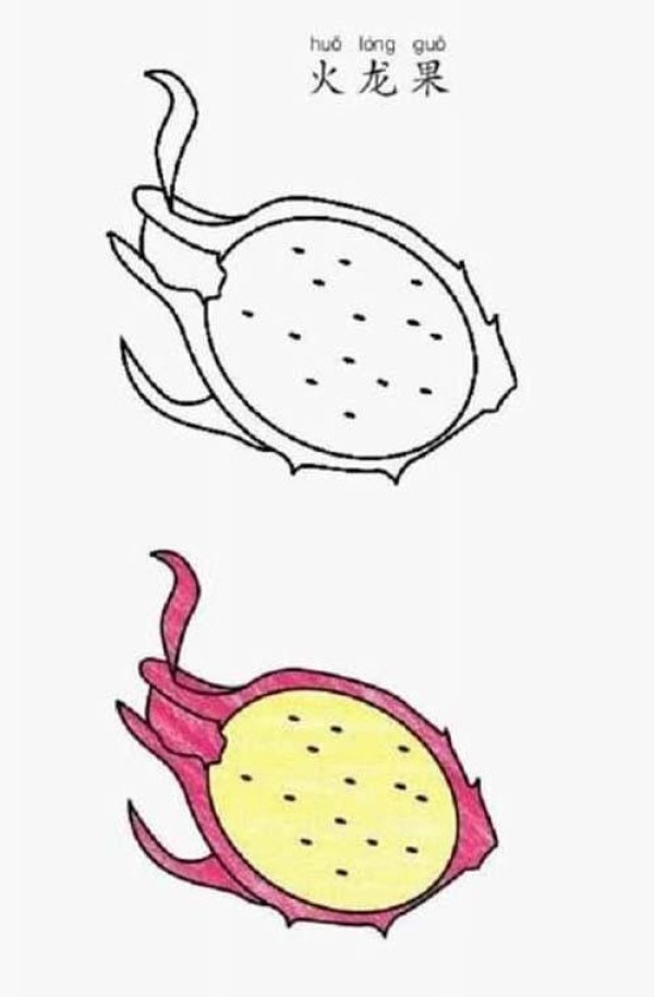 Complete collection of childrens simple drawings of fruits: dragon fruit