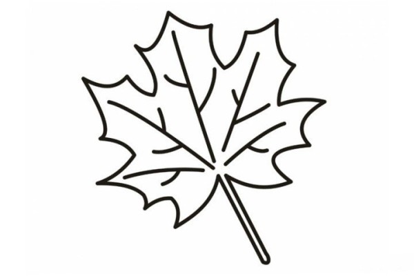 4 ways to draw autumn maple leaves