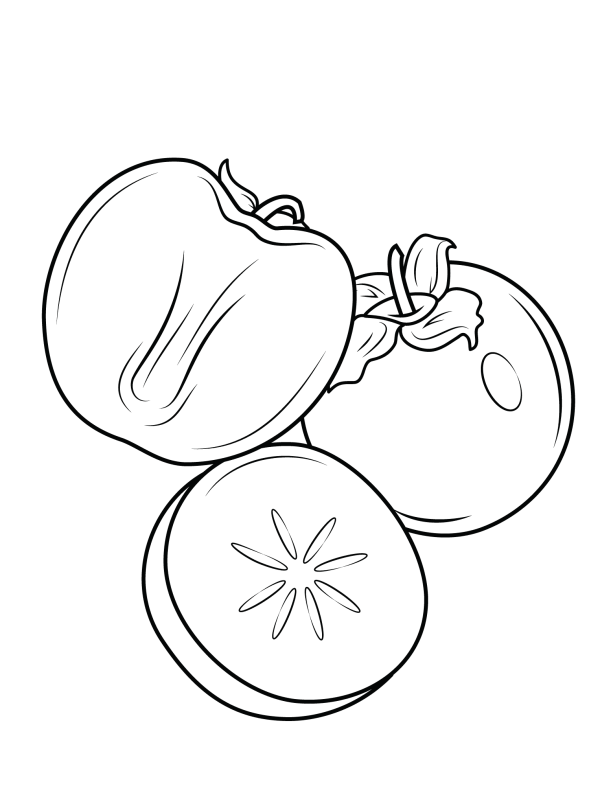 Simple persimmon sketch