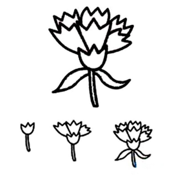 Carnation simple drawing tutorial