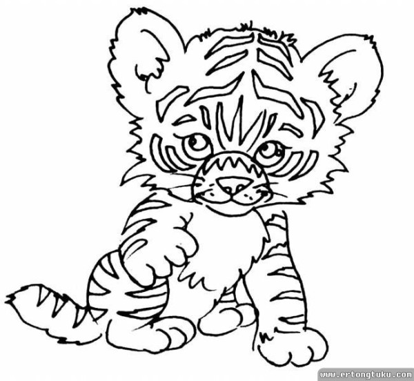 Appreciation of simple drawings of cute little tiger cubs