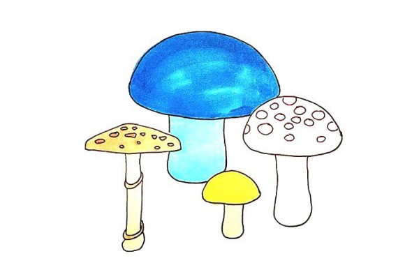 A set of simple drawing tutorials for mushrooms