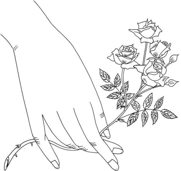 Miniature Rose Simple Drawing Picture