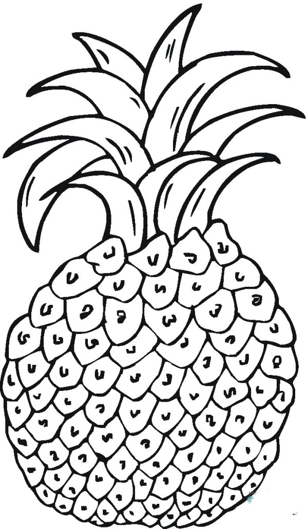 Pineapple simple strokes