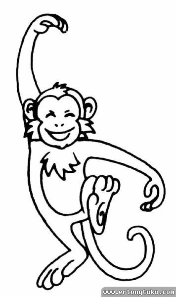 Cartoon animal monkey simple drawing picture