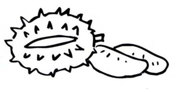 Childrens simple drawing pictures of durian meat