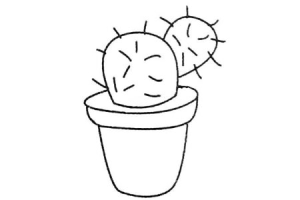 A complete collection of simple drawings of cactus and the steps to draw them