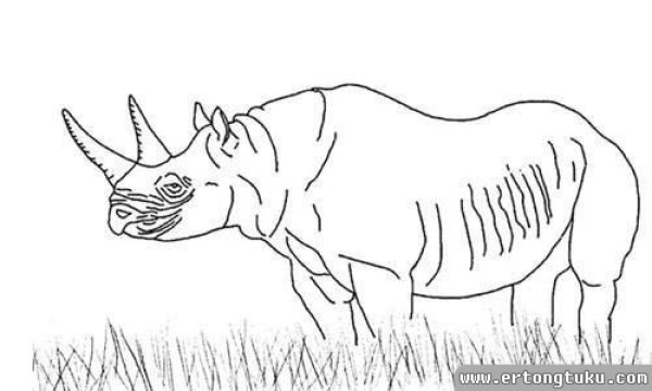 Rhinoceros simple drawing tutorial: tall rhinoceros