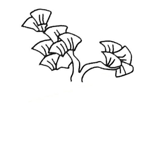 Childrens simple drawing tutorial Ginkgo tree simple drawing tutorial